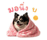 858370817
