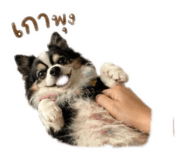 858370822