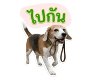 858370917