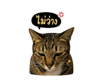 858373191