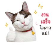 858373772