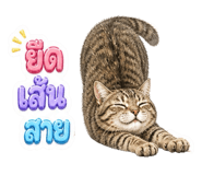 858374334