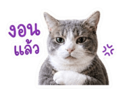 858375302