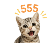 858377313