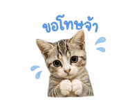858377322
