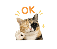 858377325