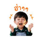 858377844