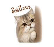 858378497