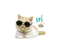 858380017