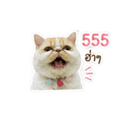 858380019