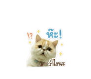 858380023