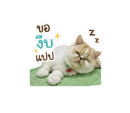 858380024