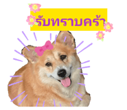 858381322