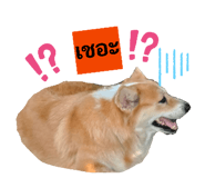 858381324