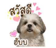 858381329