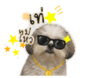 858381330