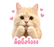858383109
