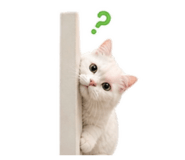 858383112
