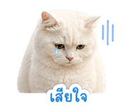 858383117
