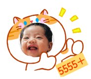 858384244