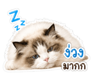 858384510