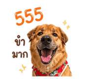 858384699