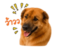 858384703