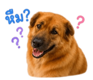 858384709