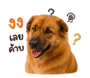 858384717