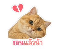 858385083