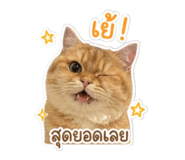 858385088