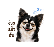 858388074