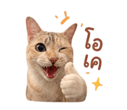 858388161