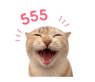 858388162