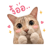 858388164