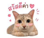 858388176