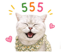 858388461