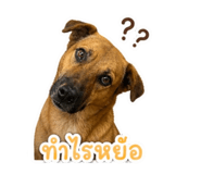 858389844