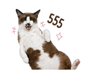 858390058