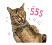 858390073