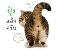 858390421