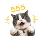 858391650