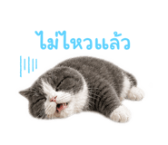 858391660