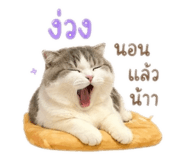 858391819