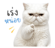 858391844