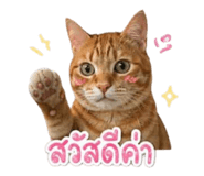 858393273