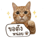 858393277