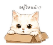 858393324