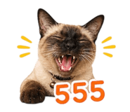 858395216