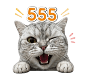 858396629